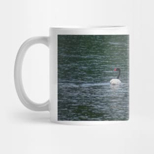 bbs Swan River Mug